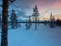 Terje Sorgjerd - The Aurora