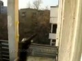 Котэ Паркурист (parkour cat)