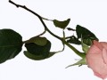 0_fda95_93d18f27_orig