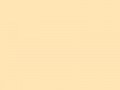 Персиковый	#FFE5B4	255	229	180