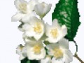 1-плеер
