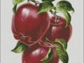 apple red