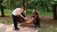 Шахматная секция для продвинутых