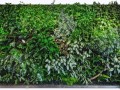 _izgorod_3_yapfiles.ru