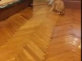 Бой с пылесосом