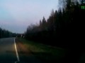 Лось переходит Е18