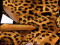 кошка 3