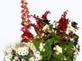 0_a1b61_84a2be20_L_yapfiles.ru