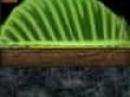0_14ad4e_dd12ad80_orig-min