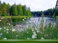 -имени-1as_01