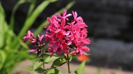 IMG_9865 копия