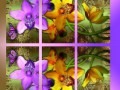 6523002872915c8f22e267f9770b3526 (1)