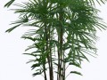 7092444b5328_yapfiles.ru