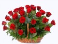 Holidays___International_Womens_Day_Red_roses_on_March_8_in_a_small_basket_060664_ копия