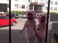 "Хрюши против" 38: работник магазина душил Хрюшу