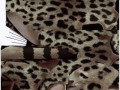 кошку карта