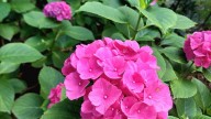 20260729_130514 копия