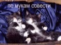 12_40_01_89_file