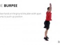 The Burpee