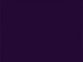 Глубокий фиолетово-черный	#240935