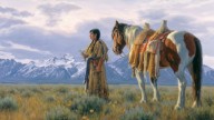 The Root Gatherer