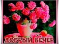 добрый-вечер