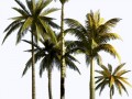 pngwing.com (1) (1)