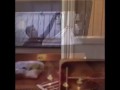 ПРИКОЛЬНОЕ ВИДЕО 2016 Часть 1