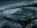 Погоня рыси за лисой