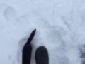 Дерзкая норка