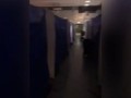 Украинцы в Германии