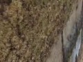 Взрыв российской полуторатонной бомбы.