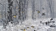 аллея. Александро - Невская лавра