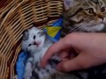 Жизнь прекрасна.