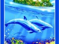 x5ljfv5qhd84tx7mb4yvyakag7khqk9q