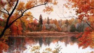 49.Радомский Юрий.
