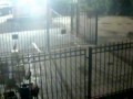 How To Open A Gate When Drunk