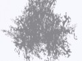 treeshadow_zps88f3fee5
