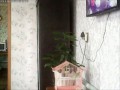 Рэпер попугай Кеша