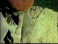 sn01