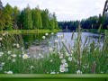 -имени-4_01