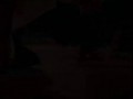 ...тоже ученый. У него три класса образования. .wmv