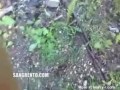 Russian teenager killed 3 hobos in a park