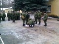 Кормление нехватов на плацу