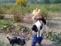 Маленькая девочка не дала в обиду своего кота