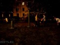 Собаководы не поделили газон для выгула