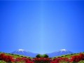 с цветами10