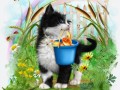 2.03.2024 Коллаж с котиком (с фоном)