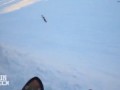 Двойной фейл