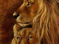 6da53adbcb8fccc468938ca8c710dfd5--lion-wildlife-art